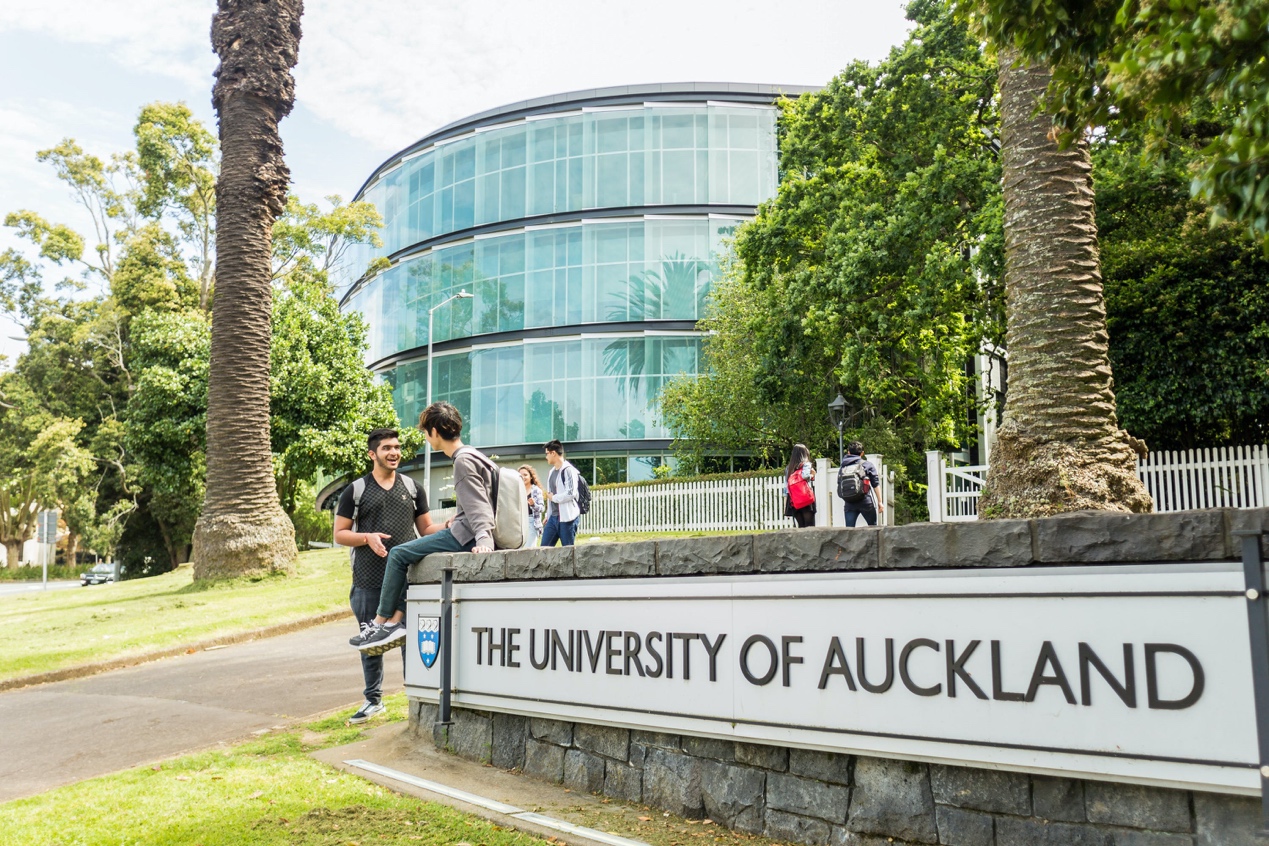 auckland banner